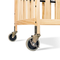 Bristol Evacuation Kit